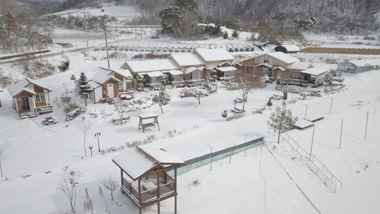 멋진 겨울이 시작됐습니다. 올해도 눈싸움,눈썰매,얼음위에서 놀기시~이~~작!!