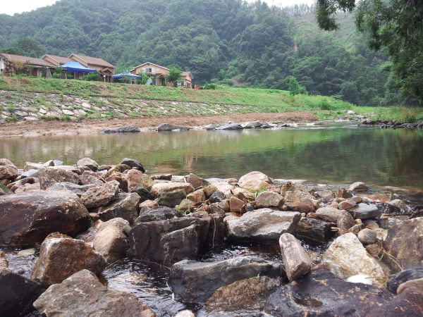 바로앞계곡에서 다슬기와 물고기잡기..
