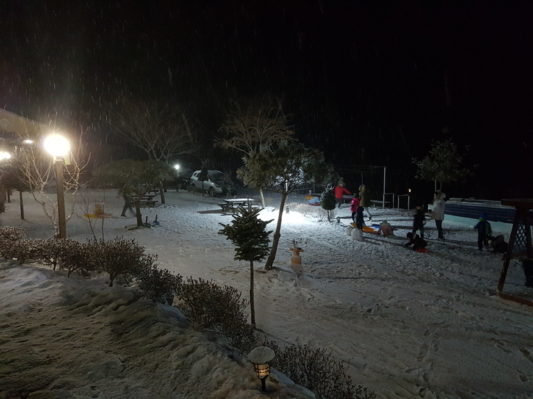 하늘꽃의 겨울