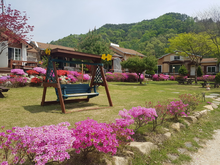 하늘꽃의 봄