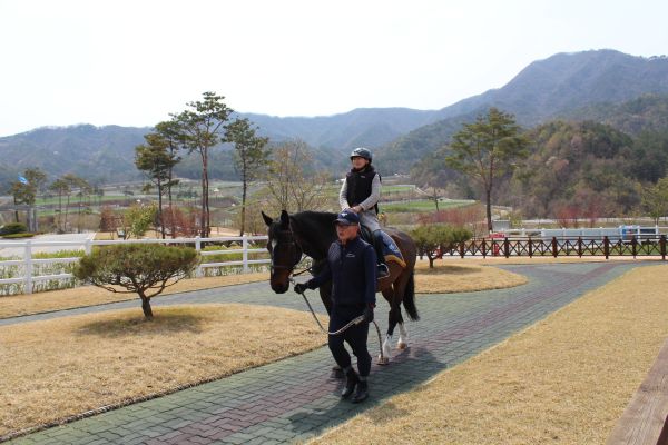 장수경주마목장